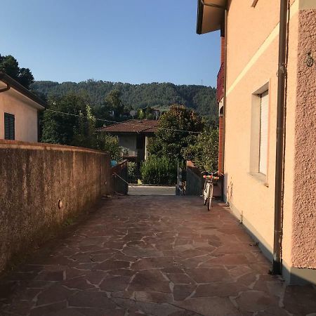 Villa Ester Camaiore Bagian luar foto