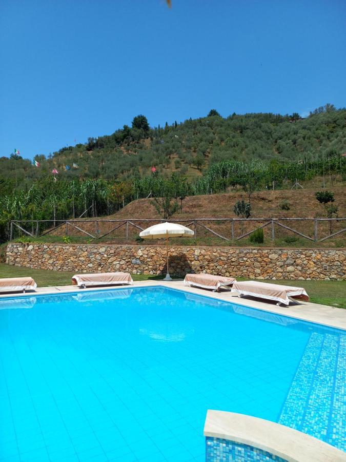 Villa Ester Camaiore Bagian luar foto
