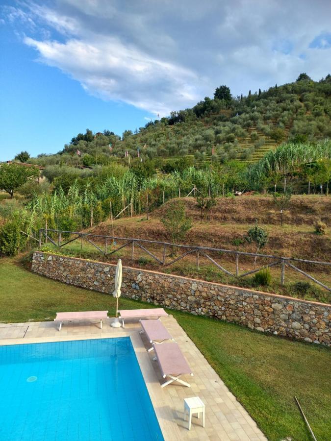 Villa Ester Camaiore Bagian luar foto