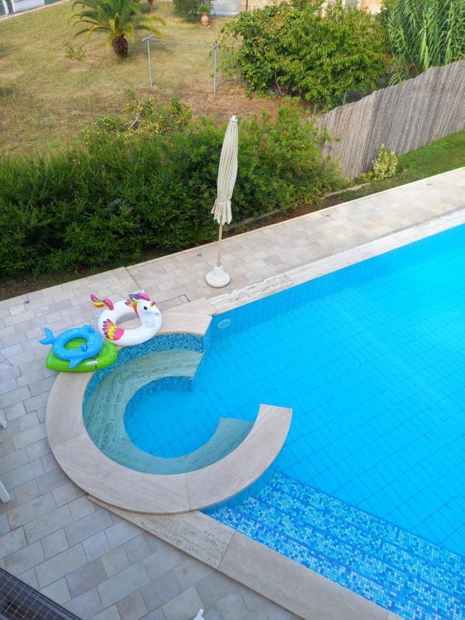 Villa Ester Camaiore Bagian luar foto