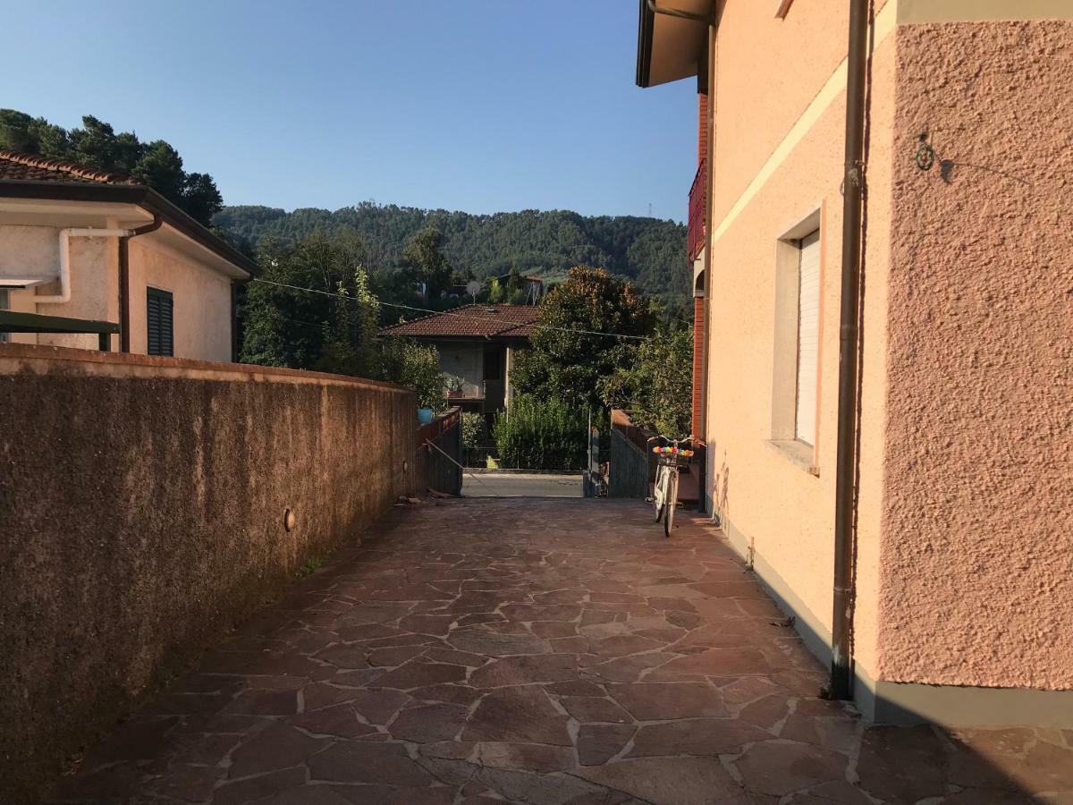 Villa Ester Camaiore Bagian luar foto